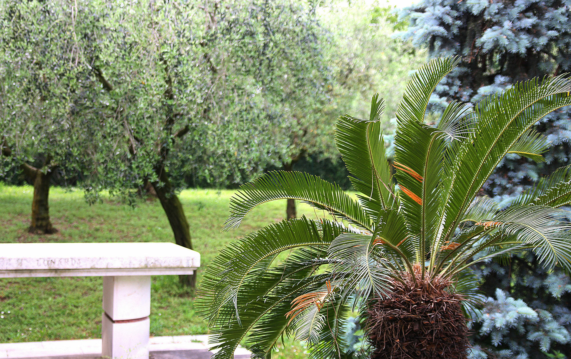 Bed & Breakfast San Giorgio Lazise Lcazione Turistica